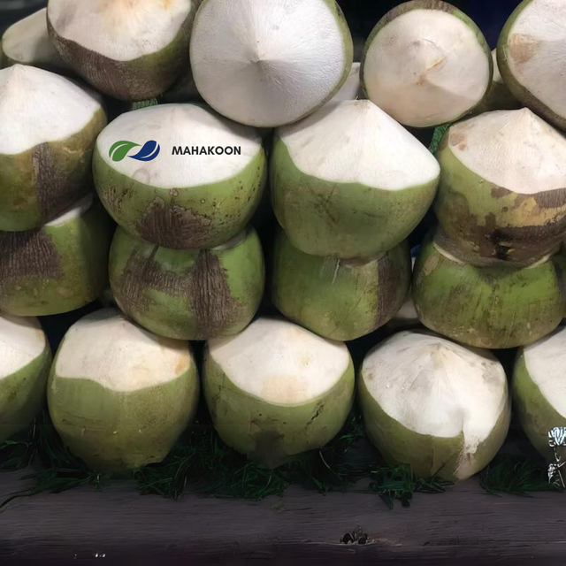 Premium Fresh Coconut From Thailand Sweet Organic Fresh Coconut Premium Quality Best Seller with GI quality - Image 5