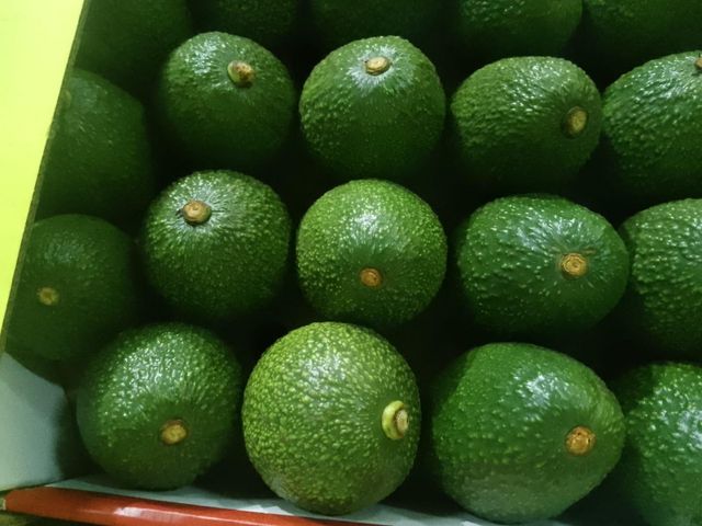 Fresh Avocado – product photo 2, product detail gallery
