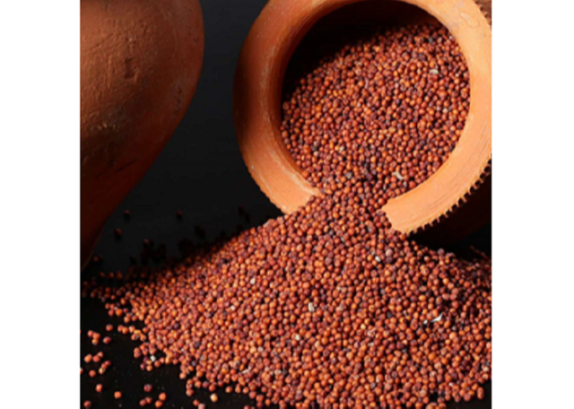 High purity finger millet bulk order clean ragi export grade - Image 4