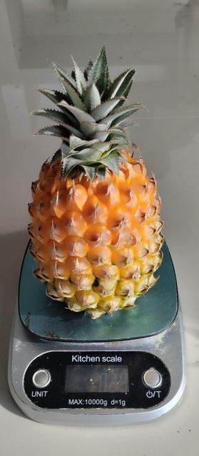 Fresh Pineapple Grade A (Simplex) – product photo 2, product detail gallery