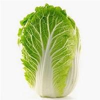 Chinese Cabbage - Image 1