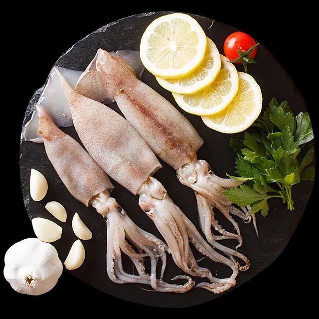 Frozen Illex Squid Tube Low-Sodium Organic for Sale at Prices. - Image 4