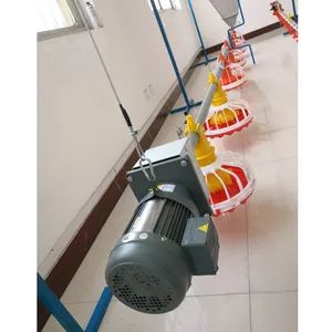 Poultry Farming Automatic Feeder Pan System for Broiler Origin China Model NO. MH Condition New Certificate CE Warranty 1 - Image 1