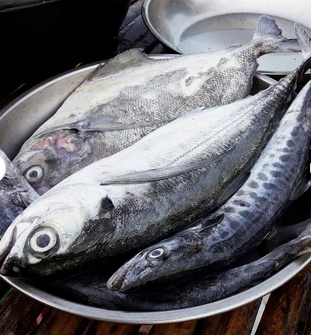 Red seabream fish. Quality Fresh Frozen Mackerel fish.Good Quality Frozen Horse Mackerel Fish.Mackerel Fish. Free delivery - Image 2