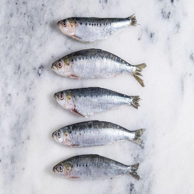 Frozen Whole Sardine Fish With Rich Nutrition And Fresh Seafood Quality Perfect Choice For Cooking Processing - Image 2