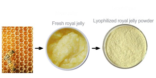 royal jelly Packaging Details can be customized Certification haccp, - Image 2