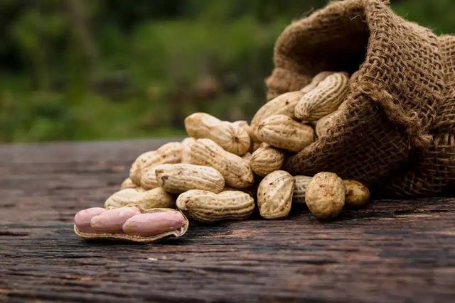 Peanuts Shelled Kernels For Nutritious Snacks Bakery Recipes Confectionery Production And Everyday Food Preparation - Image 3