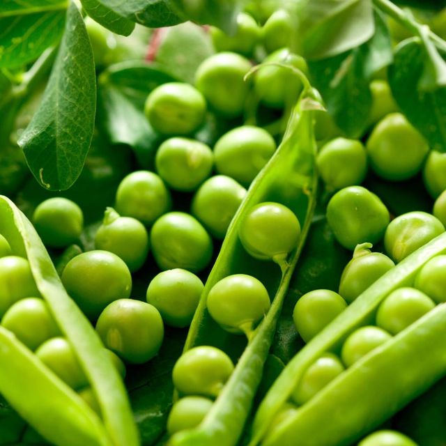 Green Pigeon Peas Best Quality Fresh Whole 100% Natural Best Price Wholesale Hot Selling - Image 4