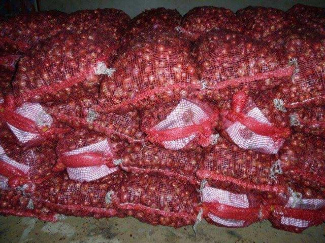 High Quality Fresh Red Onion | Organic Fresh Red Onion | Natural Fresh Red Onion Exporter - Image 3