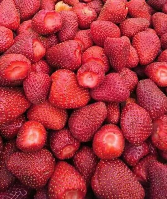 IQF FROZEN STRAWBERRY GRADE Form Frozen Color Strawberry Packaging Pp Bags - Image 1