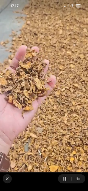 Turmeric Powder/ Sliced - Image 4