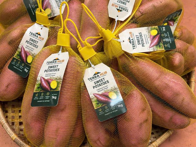 FRESH SWEET POTATO - Image 3