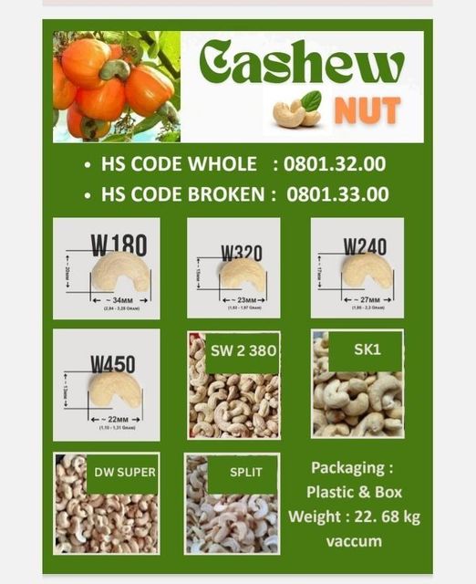 CASHEW NUT - Image 1