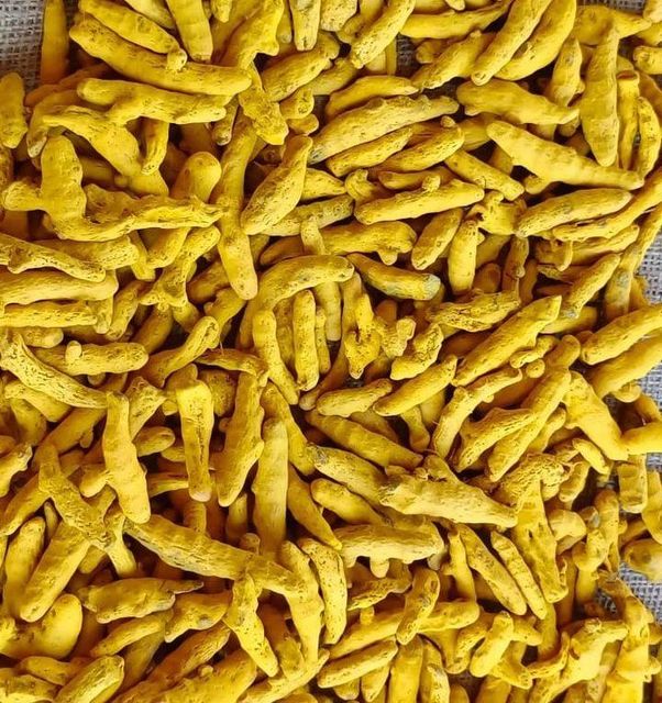 Quality Turmeric Spice For Traditional Recipes Food Manufacturing And Seasoning Applications With Strong Flavor - Image 3