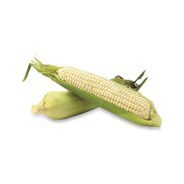 Brazil Maize Export – White & Yellow Corn frozenchickenexports.com – product photo 3, product detail gallery