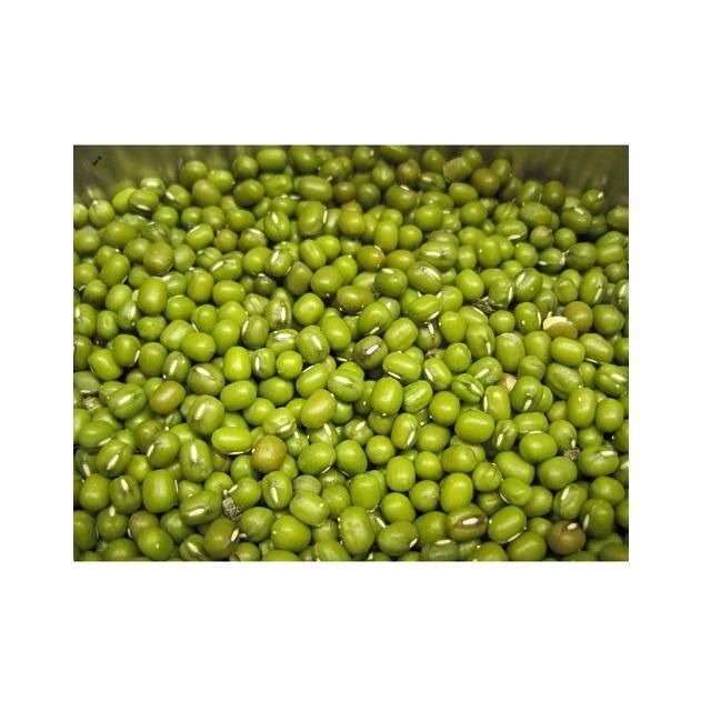 Fresh Mung Beans - Dried Mung Beans Export to EU, USA, Japan, UAE, etc - Canned Vigna Beans - Image 1