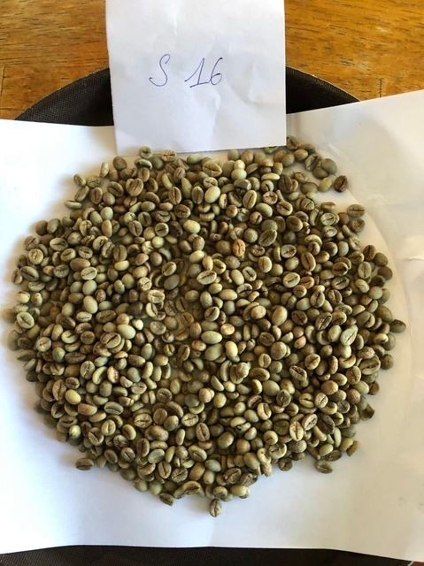 Coffee - Image 3
