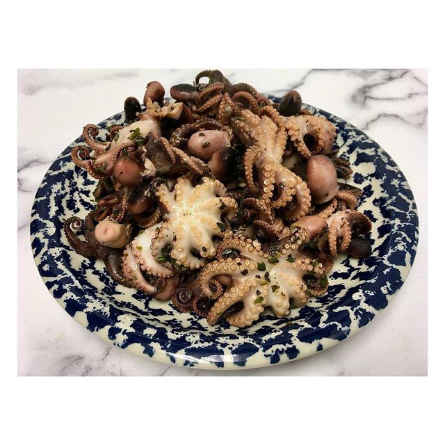 High quality frozen baby octopus whole available for bulk buyers with fast dispatch - Image 4
