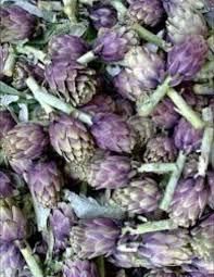 Fresh Green Artichoke Organic No Shape Whole Origin Egypt Delivery Form Crate Shelf Life 2-3 Weeks Place of Origin Egypt - Image 4