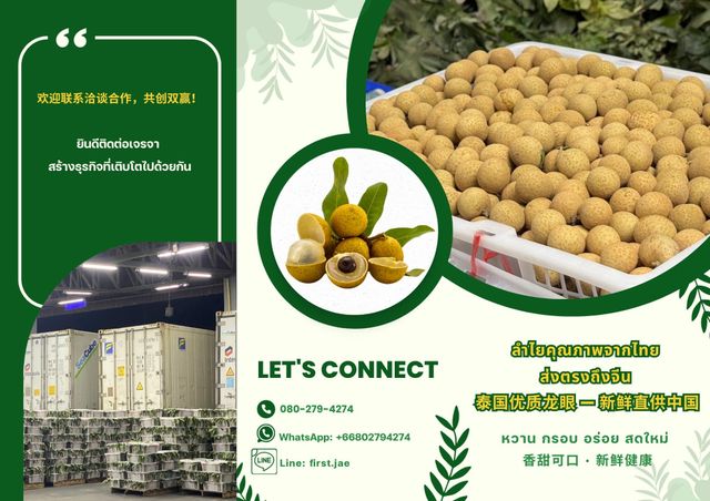 fresh longan Flavor Sweet Texture Crunchy Origin thailand Weight (kg) 12.5 KG. Processing Type Well-ventilated Taste Sweet, crunchy, and delicious - Image 4