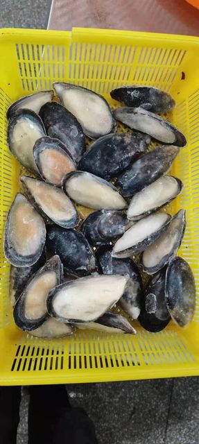 Good Quality Size 8-10CM Frozen Half Shell Mussel Style FROZEN Packaging Box Weight (kg) 1kg Brand Name Healsea Shelf Life 24 - Image 6