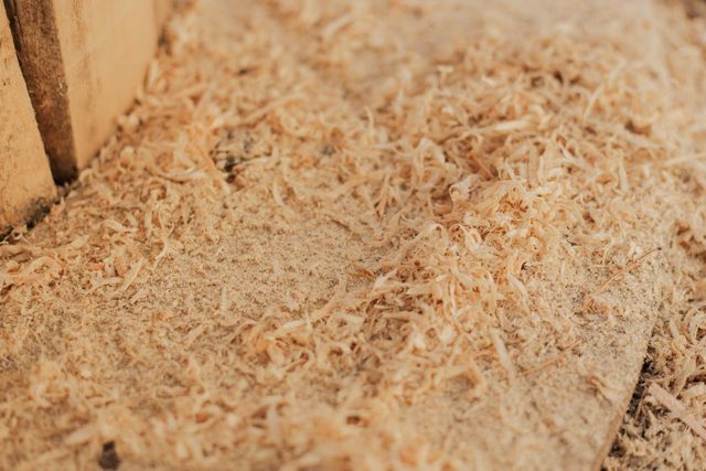 Fast Delivery Premium Saw Dust Fine And Dry Wood Powder Designed For Animal Bedding Fuel And Industrial Applications Buy Today Wholesale Option Available - Image 4