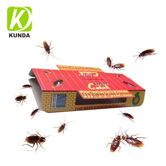 China Cockroach Killer Trap Roach Motel Insect Silverfish Cockroach House Glue Trap - Image 3