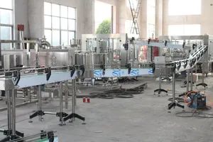Conveyor System for Delivering Products Including Bottles Boxes Bags - Image 3