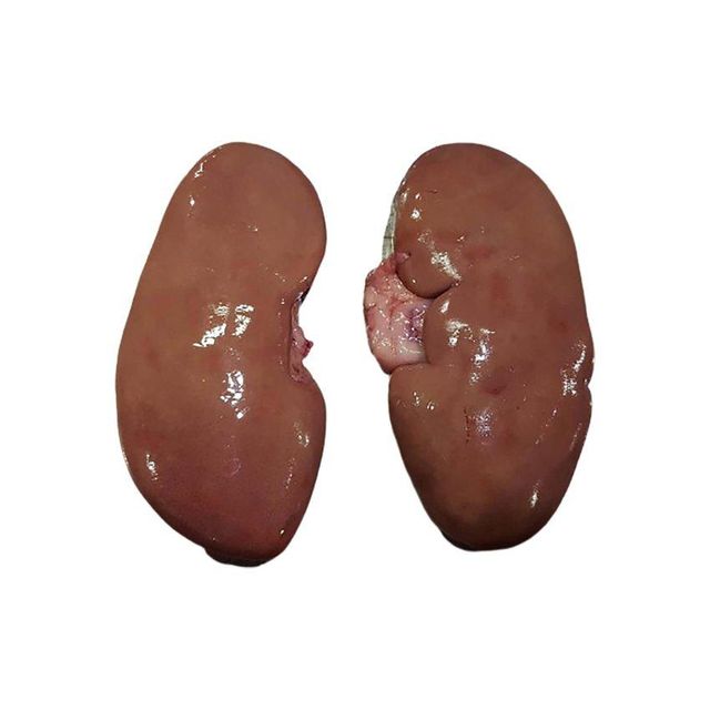 High Value Frozen Pork Kidneys offered for bulk purchase and trade - Image 2