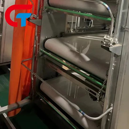 H Frame Automatic Feeding System Farming Poultry Equipment Battery Cage - Image 5