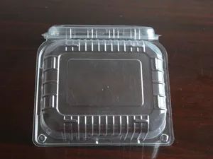 Plastic Food Storage Containers Making Thermoforming Machine - Image 4