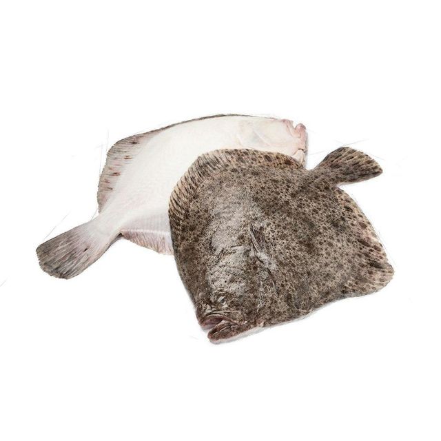 Bulk Frozen Plaice Flatfish Whole Gutted Fillets and Portion Cuts for Retailers and Importers - Image 5