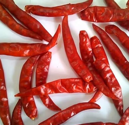 Guntur Teja S17 Chillies Color Vivid Form Dry Chilies Brand Name INDIA Heat Level Intense Flavor Strong And Fragrant Packaging customized packaging - Image 2