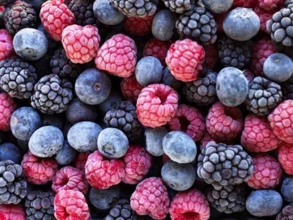 IQF blueberry blackberry raspberry - Image 2