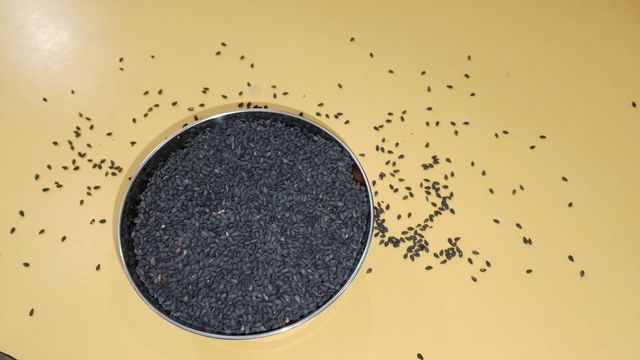 Sesame seeds – product photo 1, product detail gallery