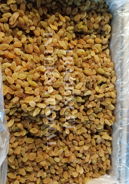 GOLDEN RAISINS - Image 2