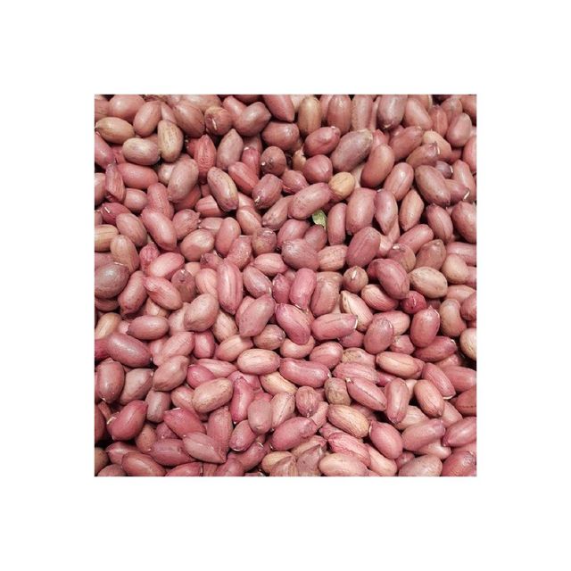 Cheap price Groundnuts ideal for roasting processing and peanut butter production - Image 3