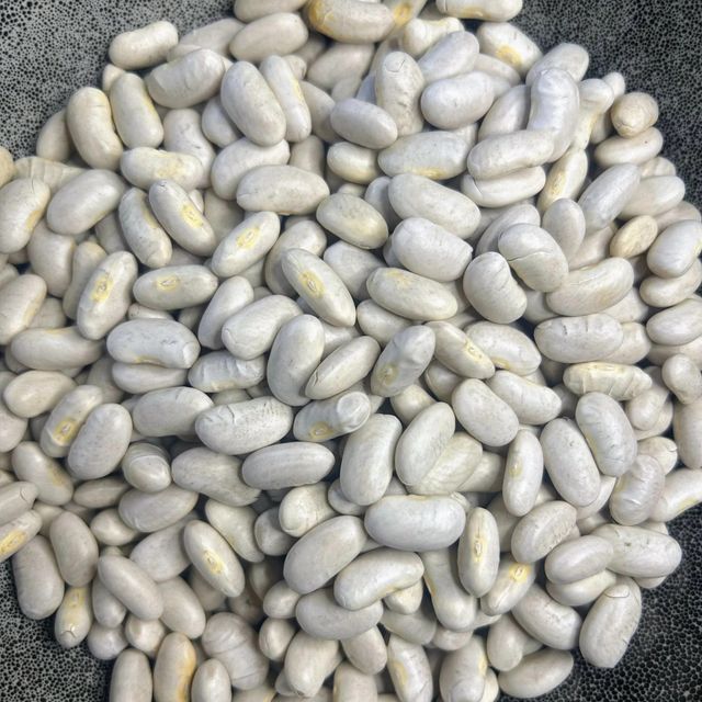Best Organic White Kidney Beans Large Size Freeze-Dried 25kg Vacuum Pack New Crop Promotion - Image 5