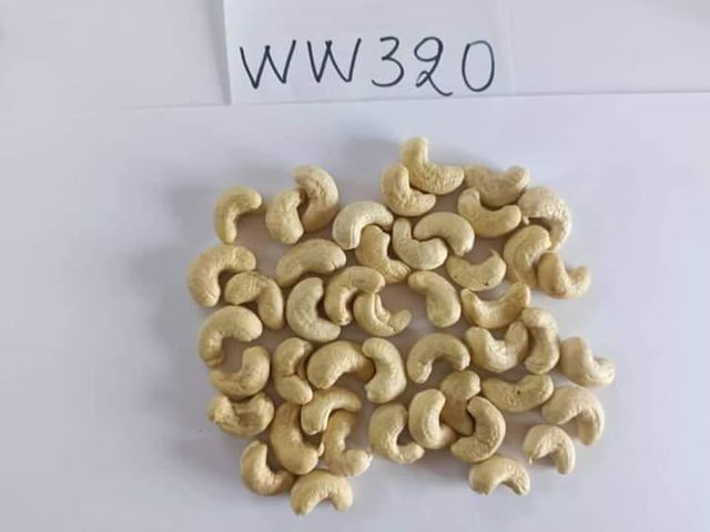 Cashew nuts Kernel W320, W240, W450, LWP - Image 4