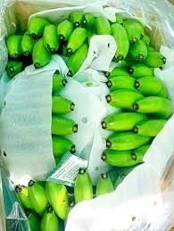 Fresh Green Cavendish Bananas in 13.5kgs Carton Box Grade AA Type Banana Style Fresh Origin Srilanka Model Number Banana - Image 2