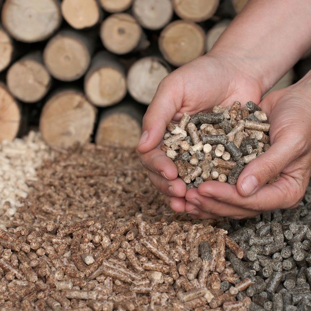 Eco Friendly Biomass Energy Product Featuring Din Plus Wood Pellets For Importers Requiring Reliable Fuel - Image 5