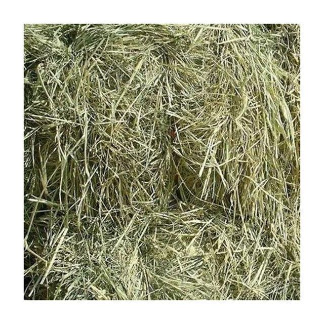 High Quality Rhodes Grass Hay Wholesale Export Grade Livestock Feed Supply - Image 4