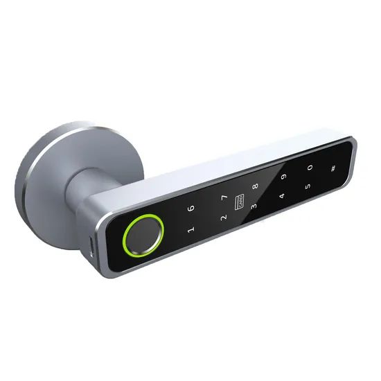 Ttlock APP Password Card Fingerprint Keyless Smart Electronic Biometric Handle Door Lock - Image 2