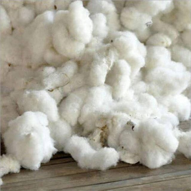 Best Price 100% Organic Cotton Raw Cotton Filling Material Breathable EcoFriendly Bulk Wholesale in Stock Fast Delivery - Image 3