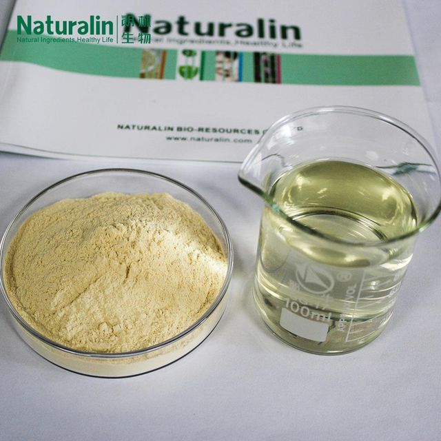 Ginseng Extract - Image 3