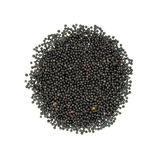 Premium canola seeds available for sale for intern-ational buyers and processors - Image 4