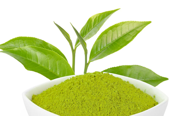 Green Tea Extract (Camellia sinensis) Shelf Life 24 Months Max. Moisture (%) 5% Antioxidant Properties High Anti-aging Properties Present - Image 2