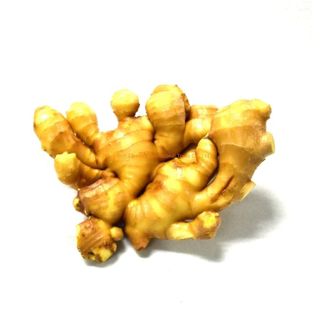 Premium Fresh Root Export Supply Featuring Fresh Ginger With Natural Aroma Washed Packing - Image 4