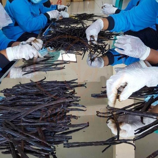 Organic Dried Vanilla Beans wholesale supplier and exporter - Image 2