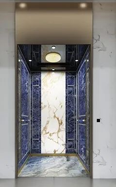 Factory Direct Sales Homes Passenger Elevator Price Persons <5 Origin China Model NO. 007 HS Code 842810 Speed <1.00m/s Capacity - Image 4